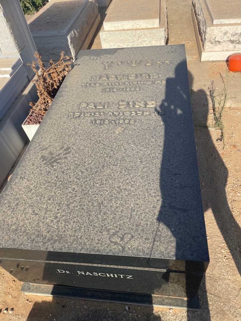 קברו של פאול נשיץ