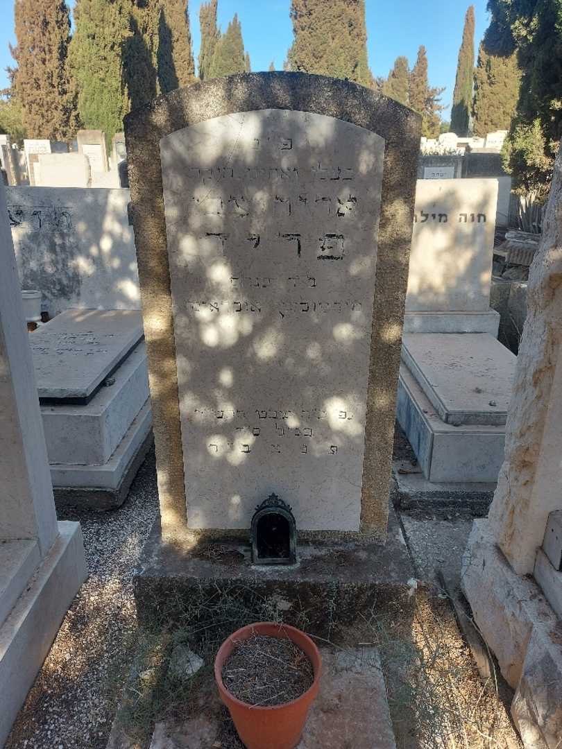 קברו של אריה צבי פריד