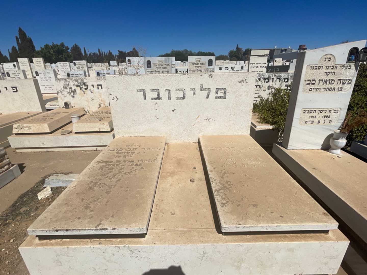 קברו של אסתר פליכובר. תמונה 1