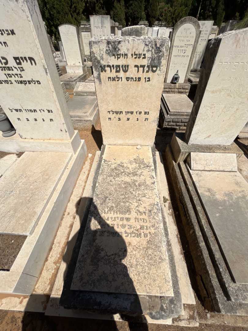 קברו של סנדר שפירא