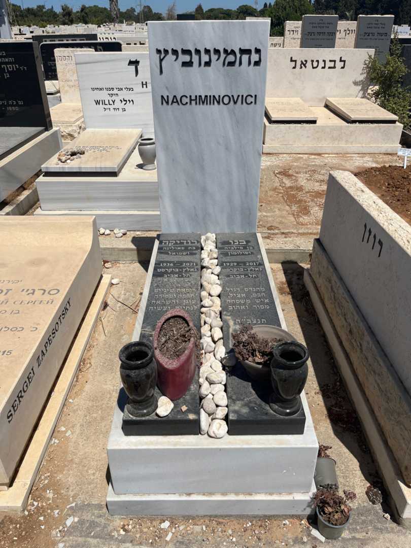 קברו של בנו נחמינוביץ. תמונה 1