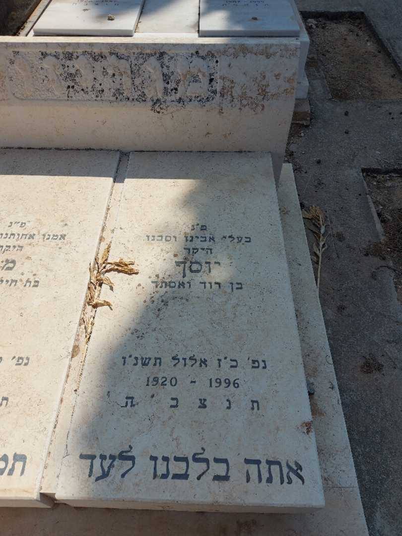 קברו של יוסף מגריזו. תמונה 1