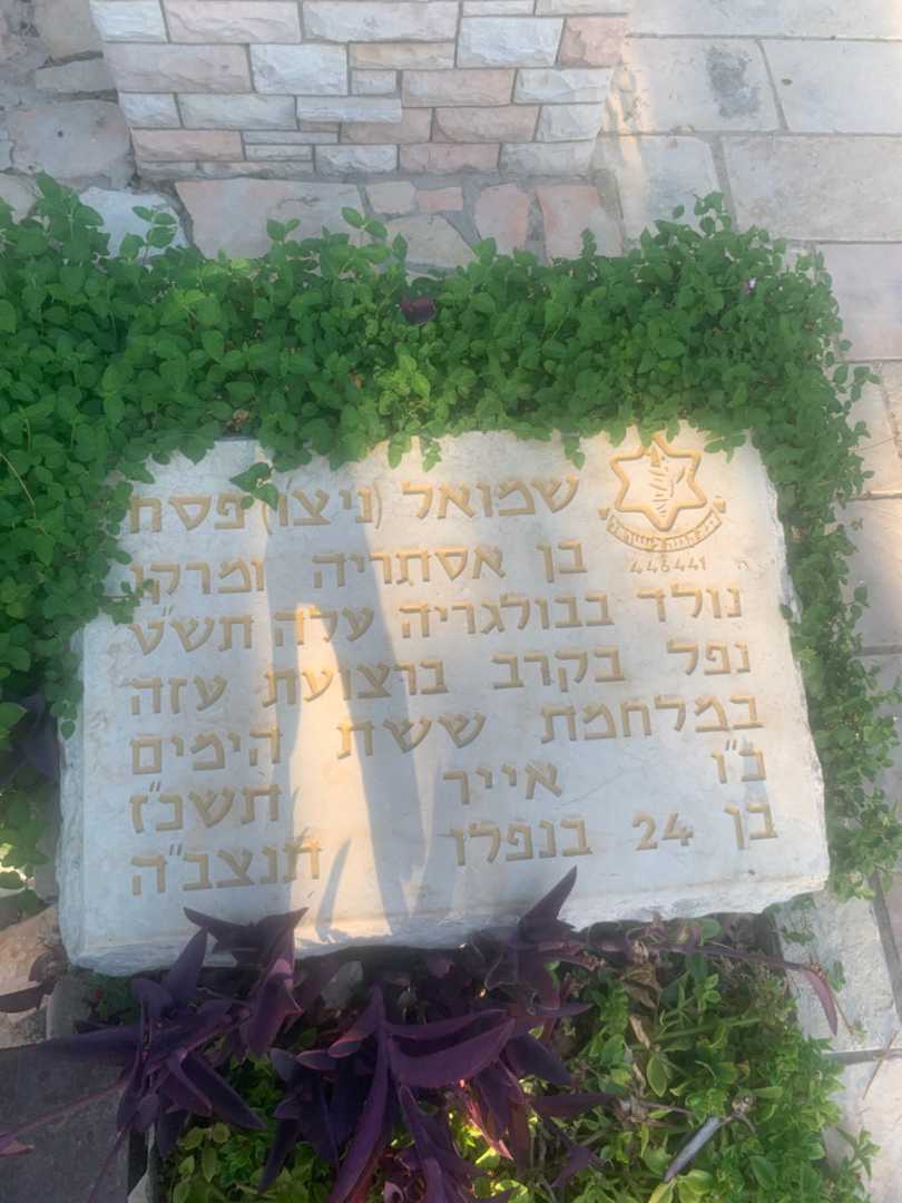 קברו של שמואל "ניצ'ו" פסח. תמונה 1