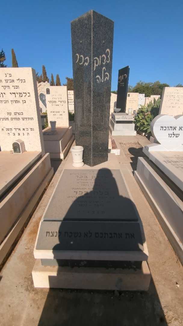 קברו של צדוק בכר. תמונה 1