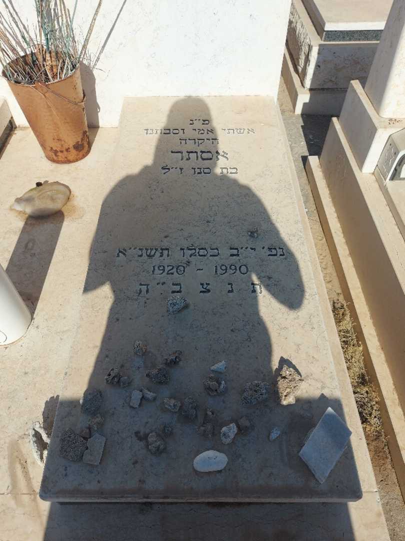 קברו של אסתר אהרונוב. תמונה 1