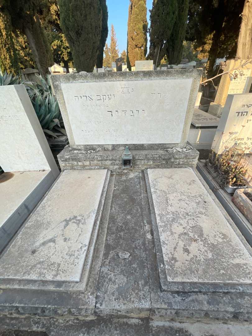 קברו של שרה ויגדור. תמונה 1