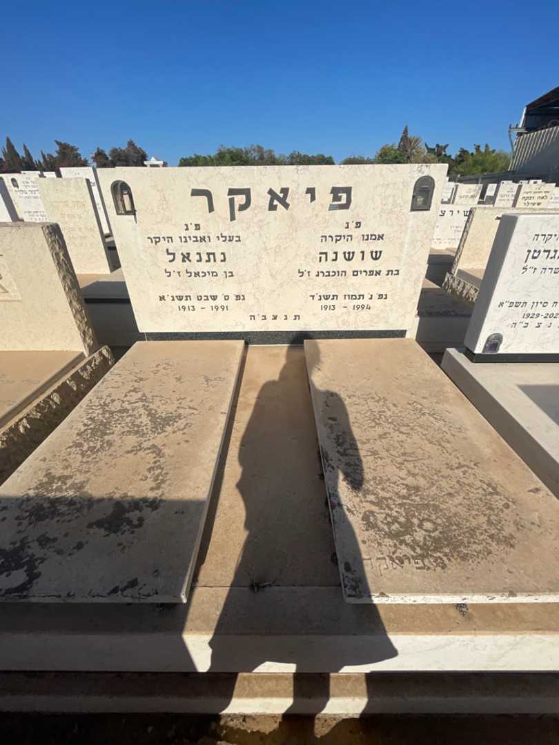 קברו של שושנה פיאקר. תמונה 1