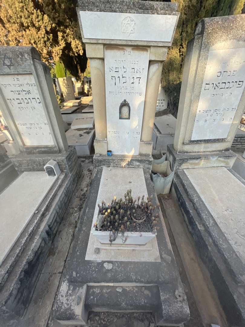 קברו של זאב ליפא דנילוף