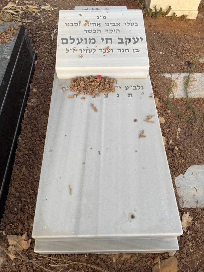 קברו של יעקב חי מועלם