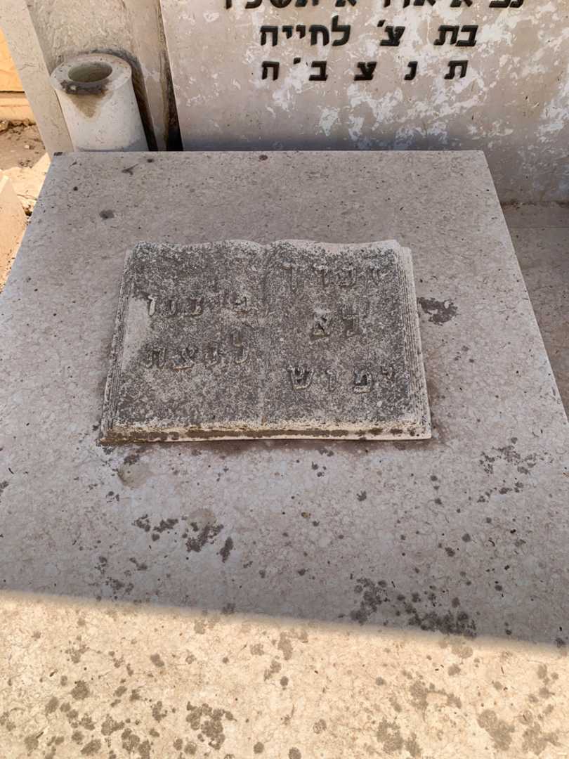 קברו של נאזי ר ימוב. תמונה 2