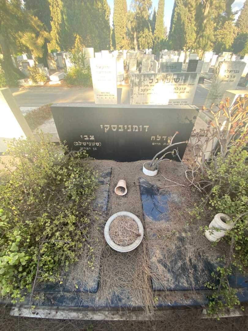 קברו של אדלה דומניבסקי. תמונה 2