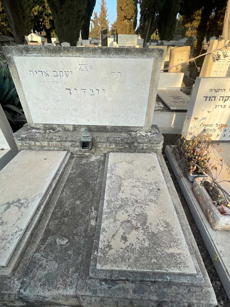 קברו של שרה ויגדור. תמונה 2