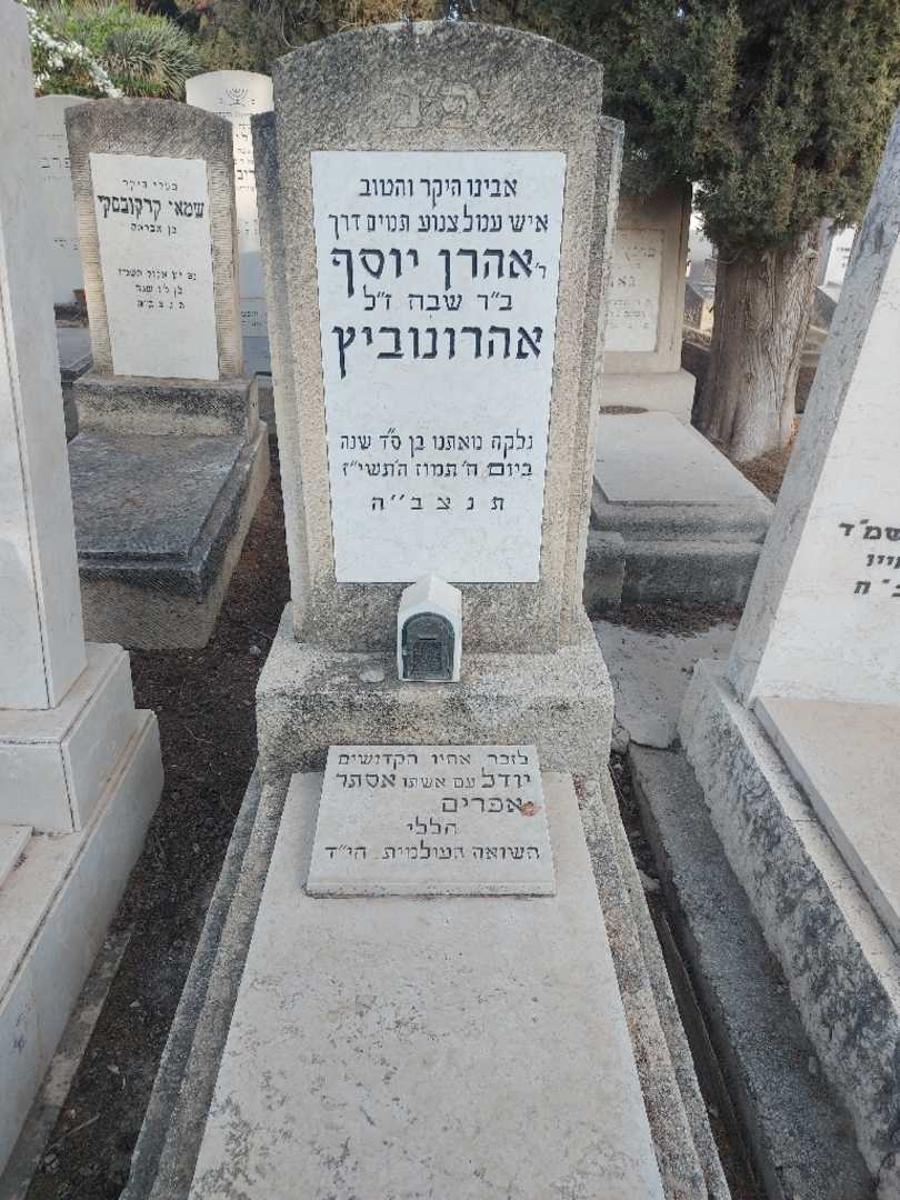 קברו של אהרן יוסף אהרונוביץ