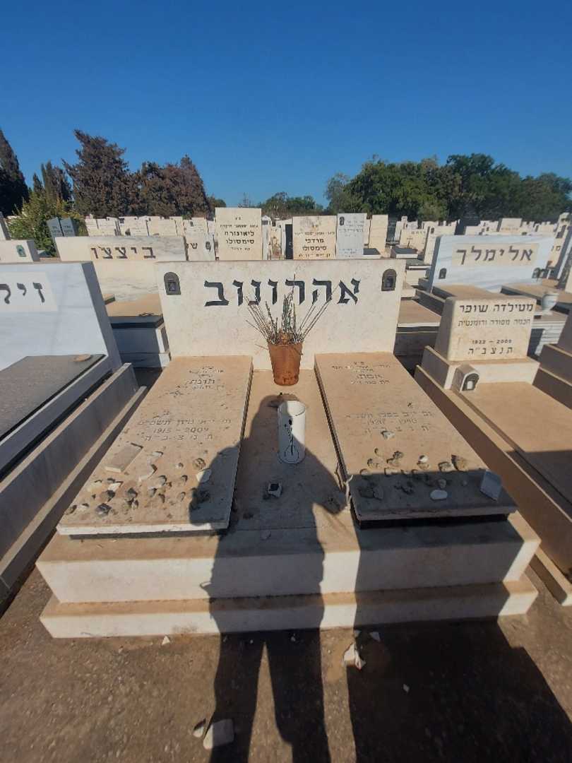 קברו של אסתר אהרונוב. תמונה 2