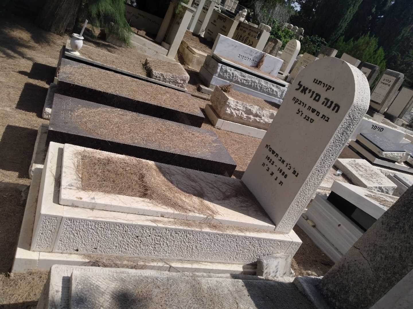 קברו של חנה מויאל