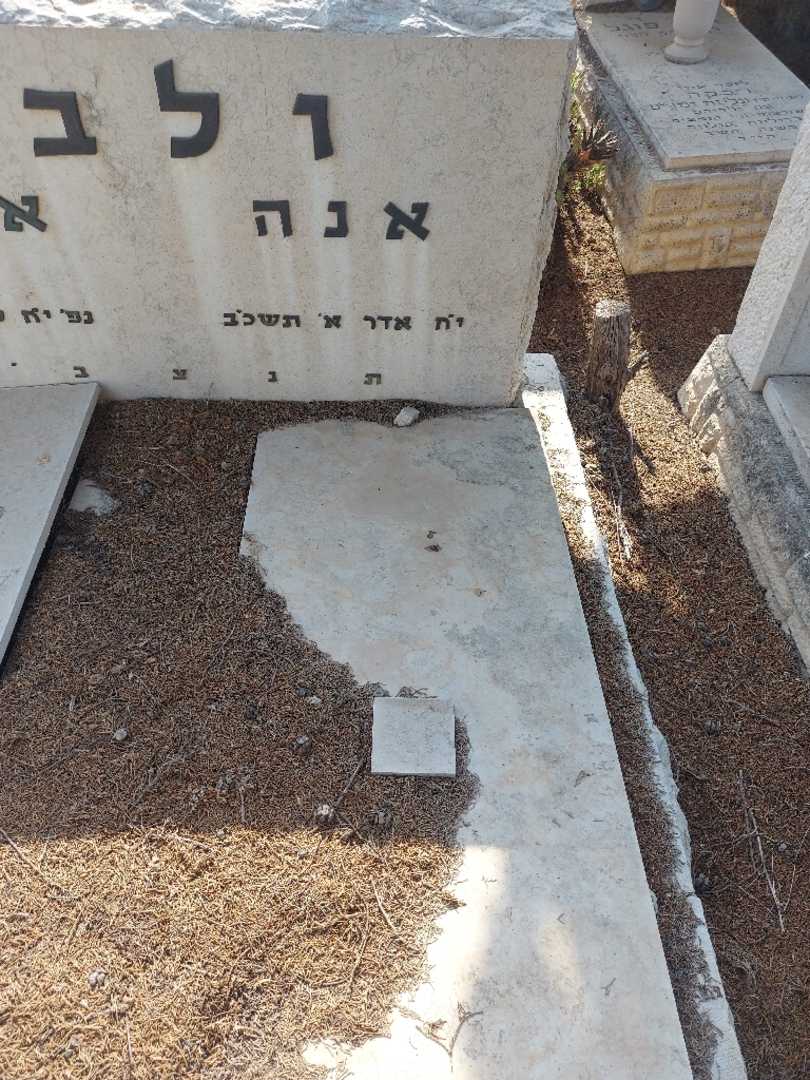 קברו של אנה ולבר. תמונה 2