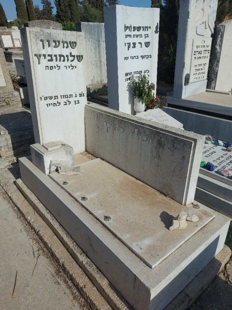 קברו של שמעון שלומוביץ. תמונה 2
