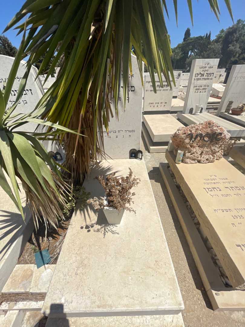 קברו של סוניה הירש. תמונה 2