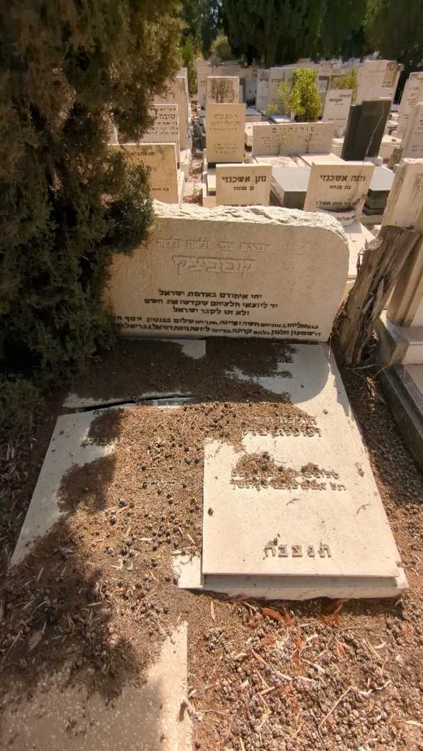 קברו של לאה זלטה קובוביצקי. תמונה 1