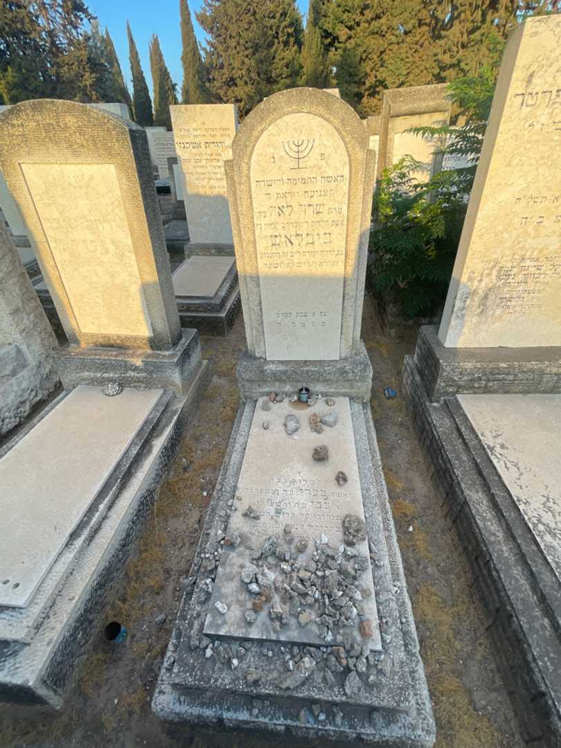 קברו של שרה לאה ביבלאש