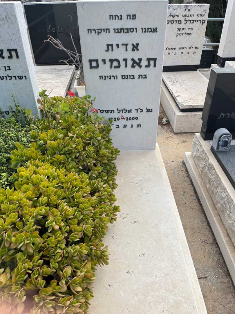 קברו של אדית תאומים. תמונה 1