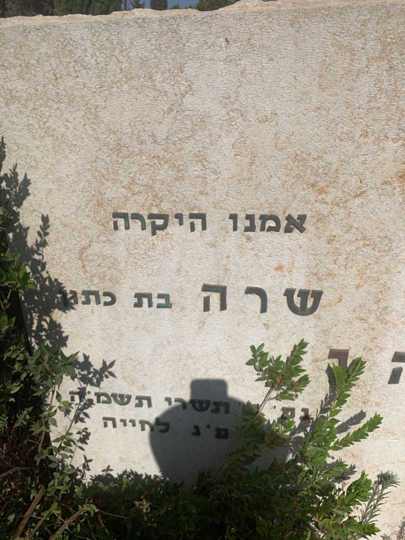 קברו של שרה כהן. תמונה 1