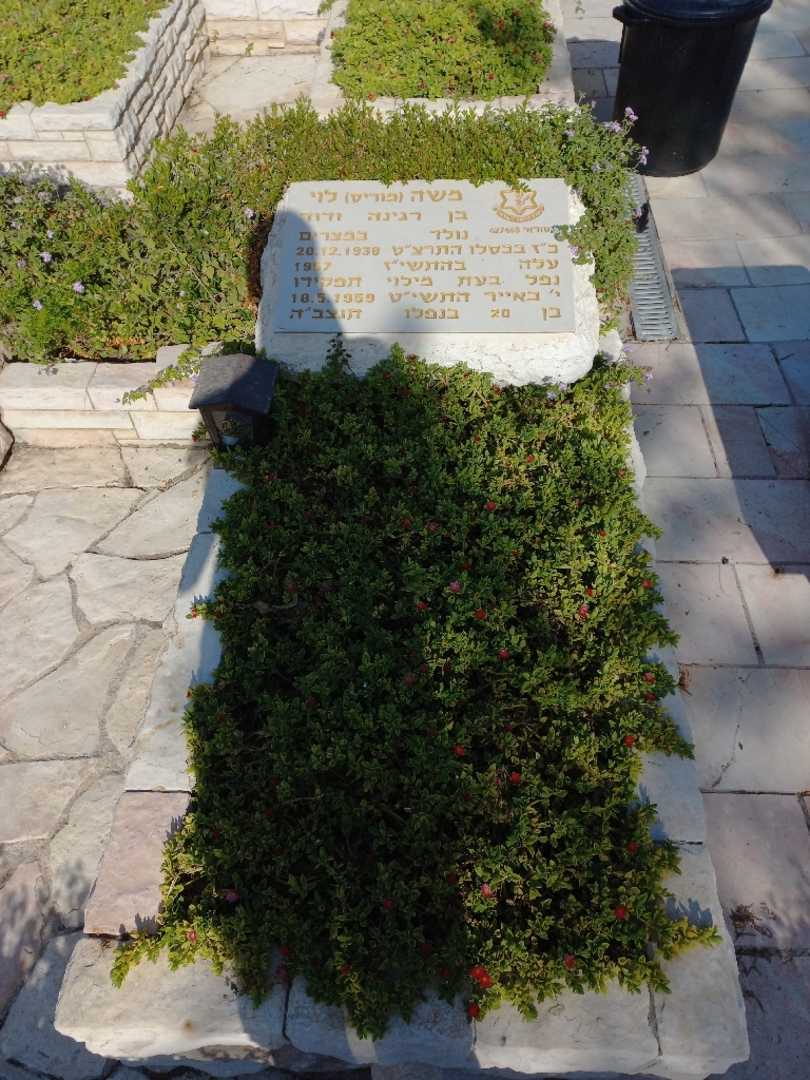 קברו של משה "מוריס" לוי