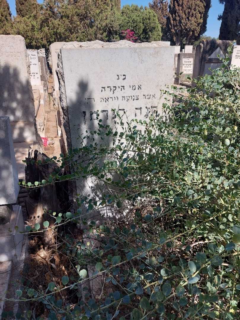קברו של חוה לנרמן