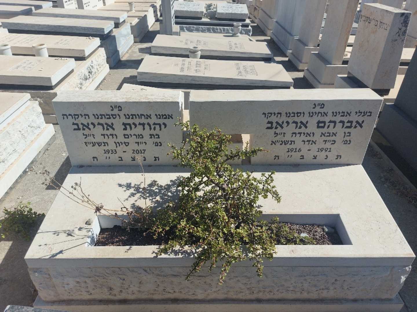 קברו של אברהם אריאב
