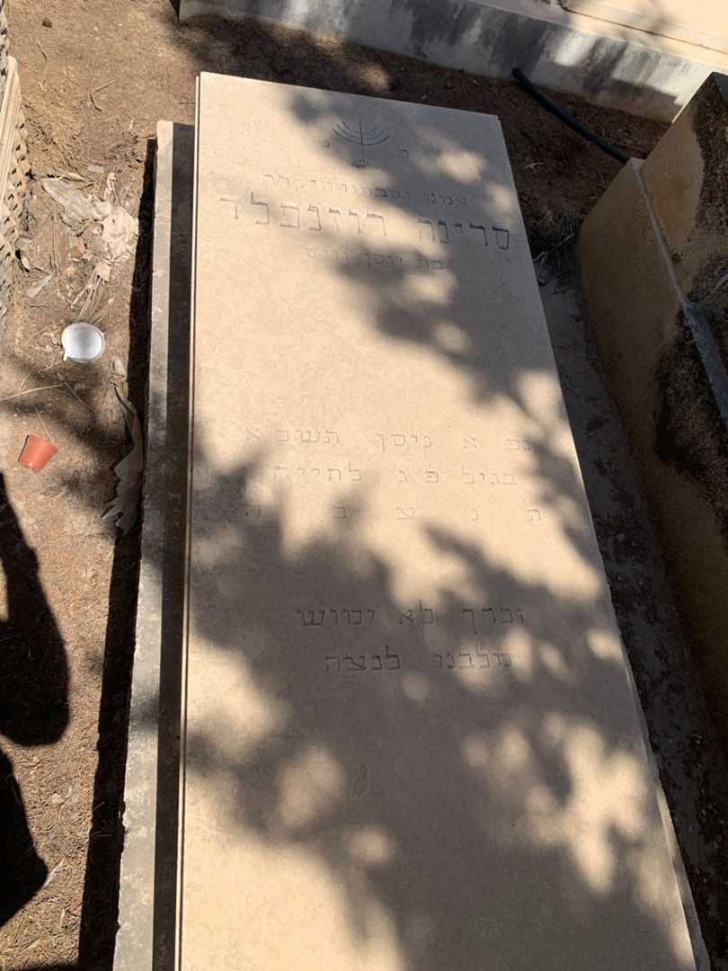 קברו של סרינה רוזנפלד. תמונה 2