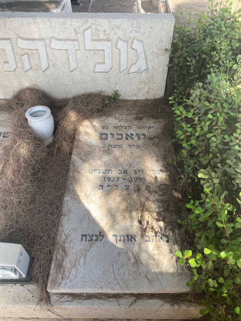 קברו של יואכים גולדהמר. תמונה 2