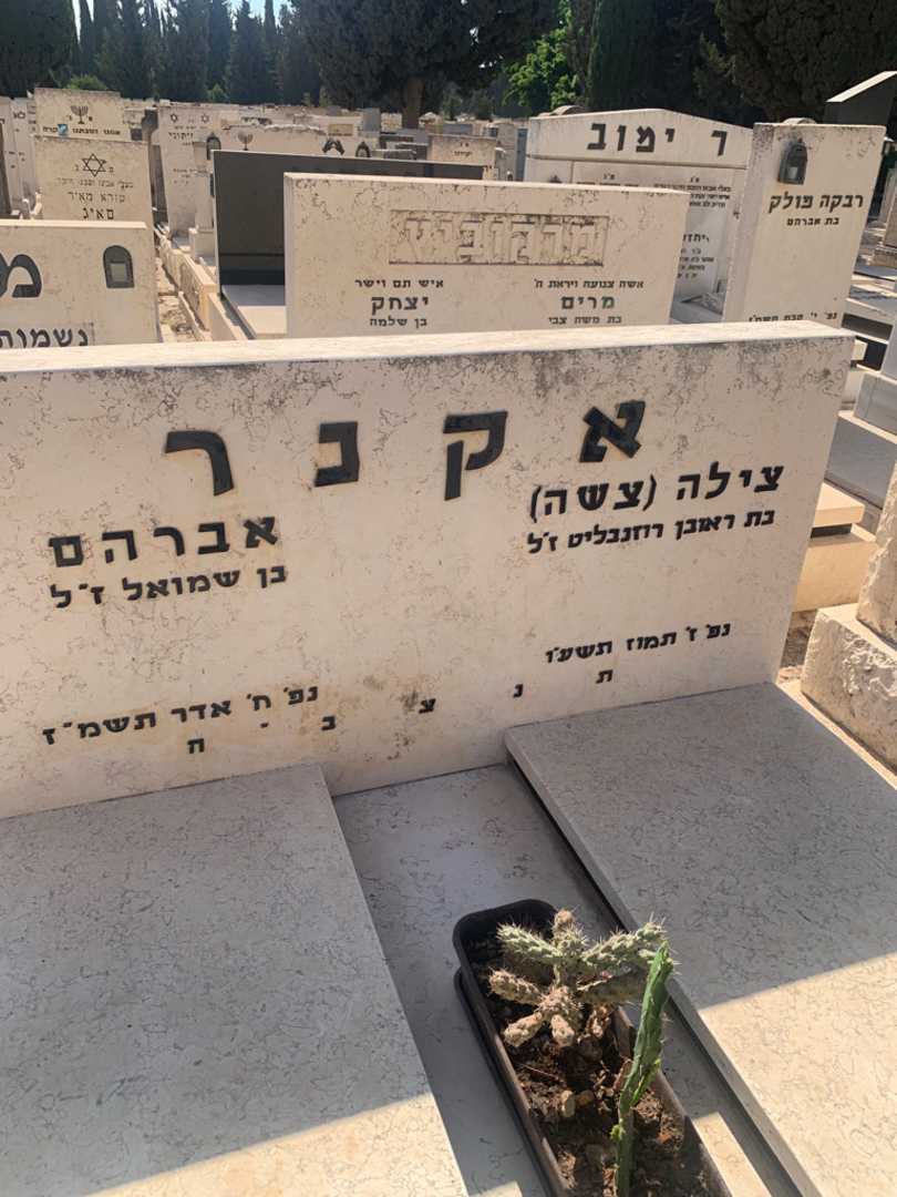 קברו של אברהם אקנר. תמונה 3