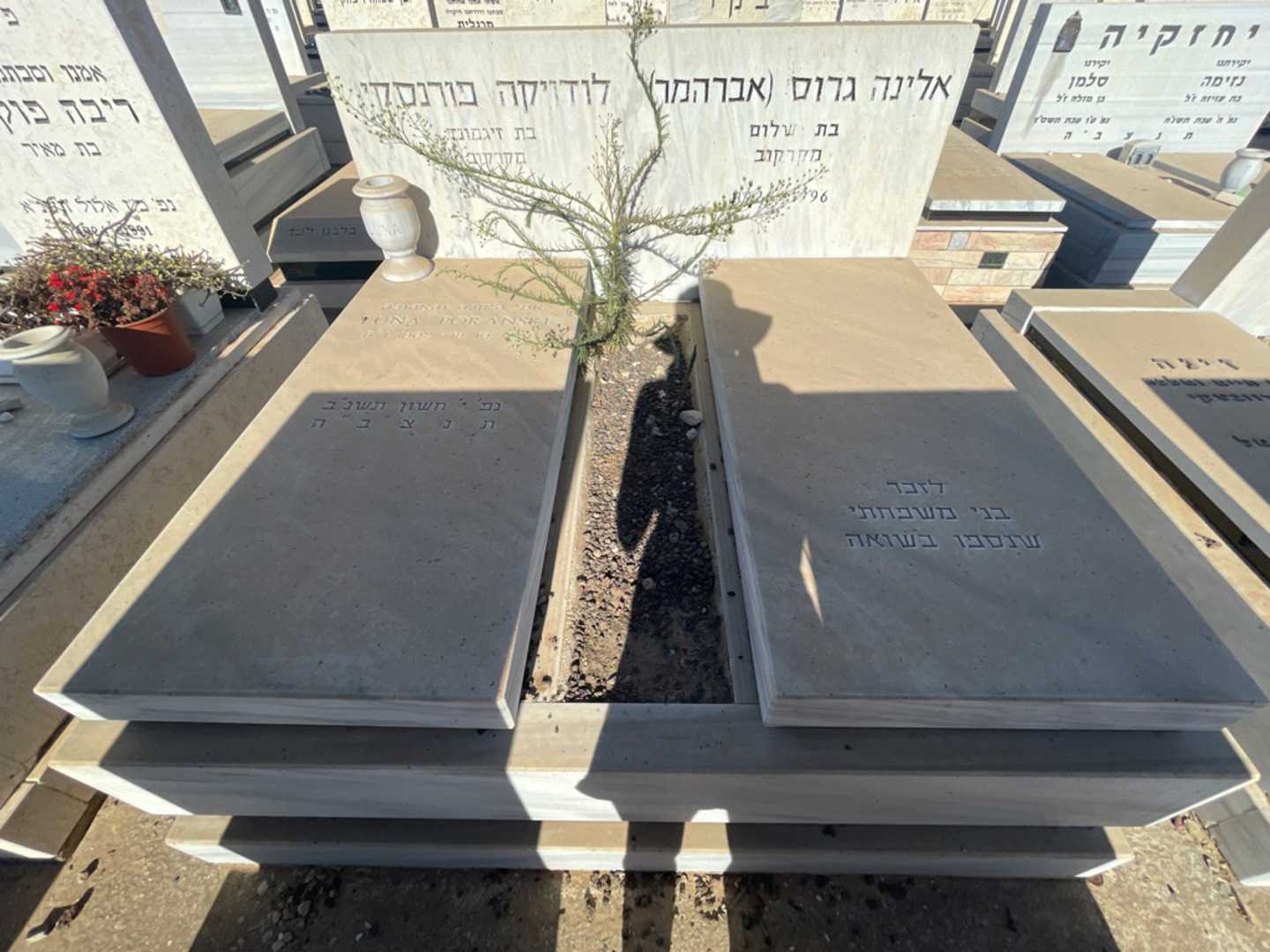 קברו של אלינה "אברהמר" גרוס. תמונה 1