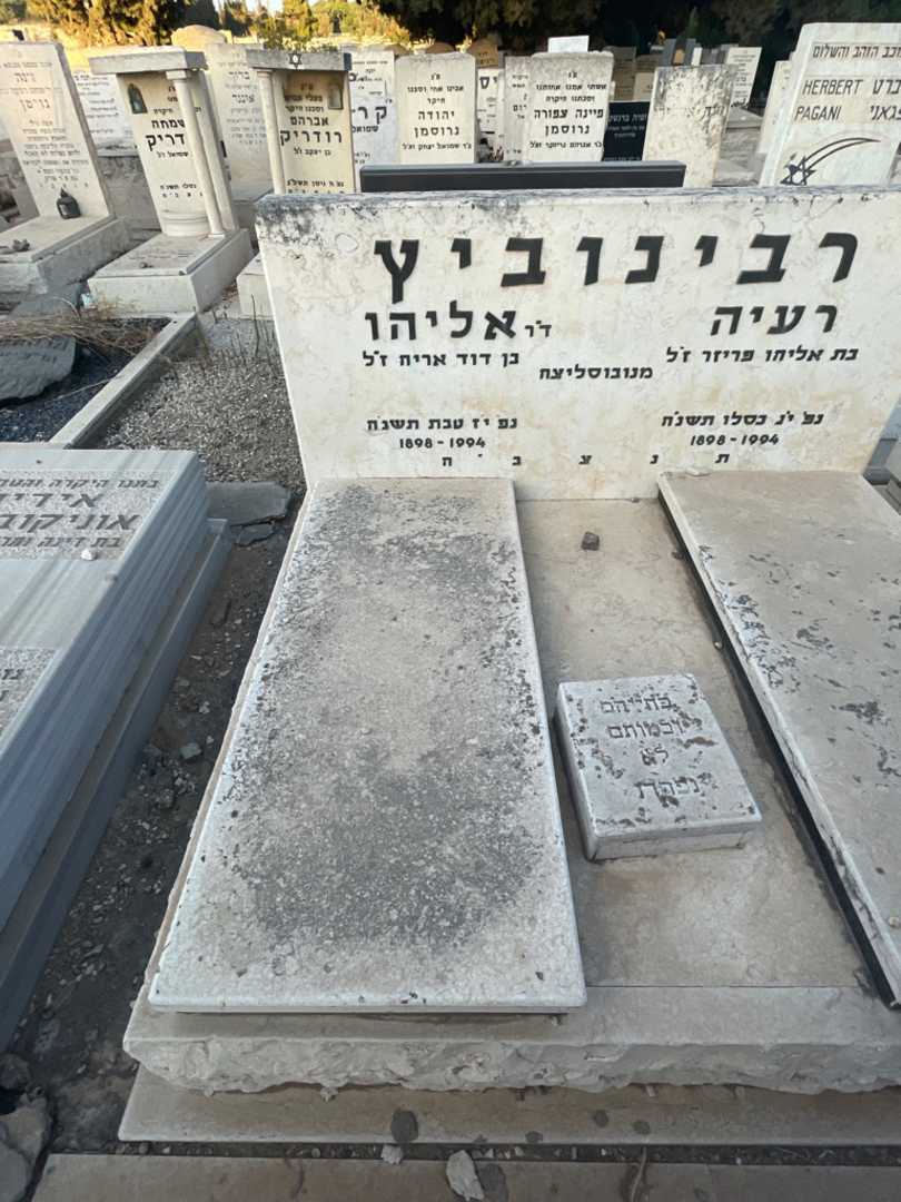 קברו של אליהו רבינוביץ. תמונה 2