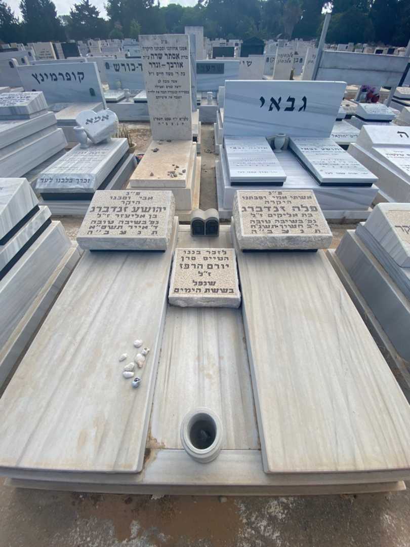 קברו של פלה זנדברג. תמונה 2