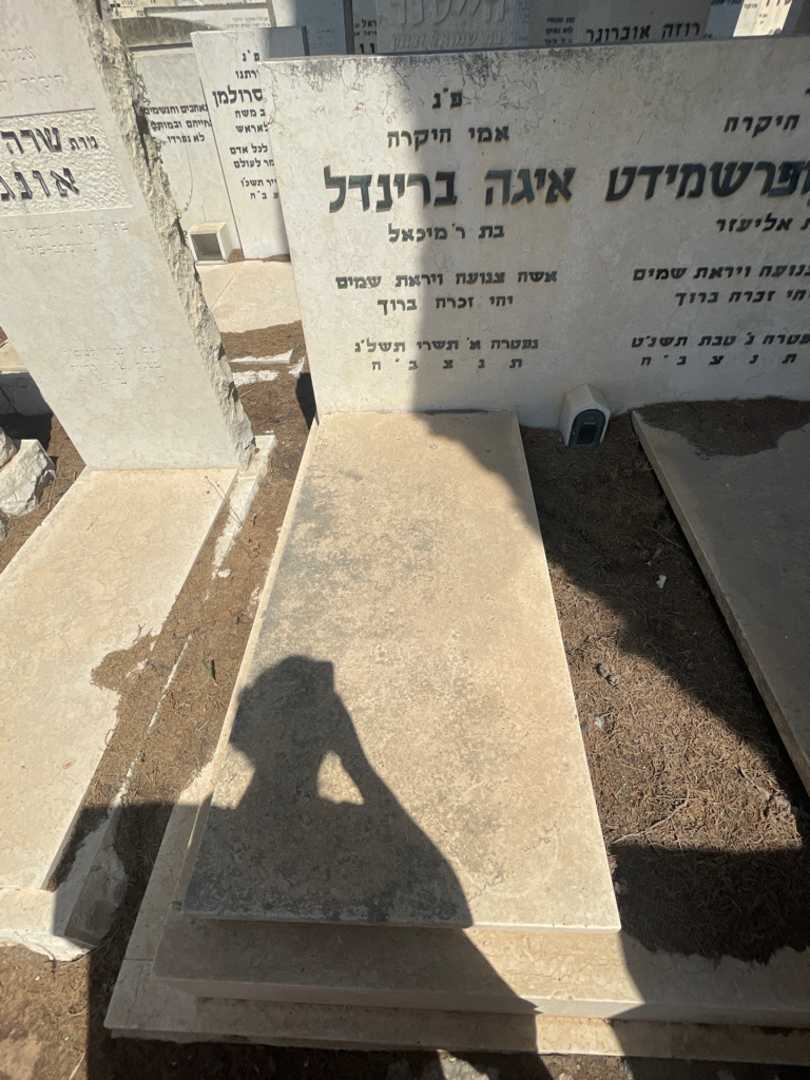 קברו של איגה ברינדל. תמונה 2