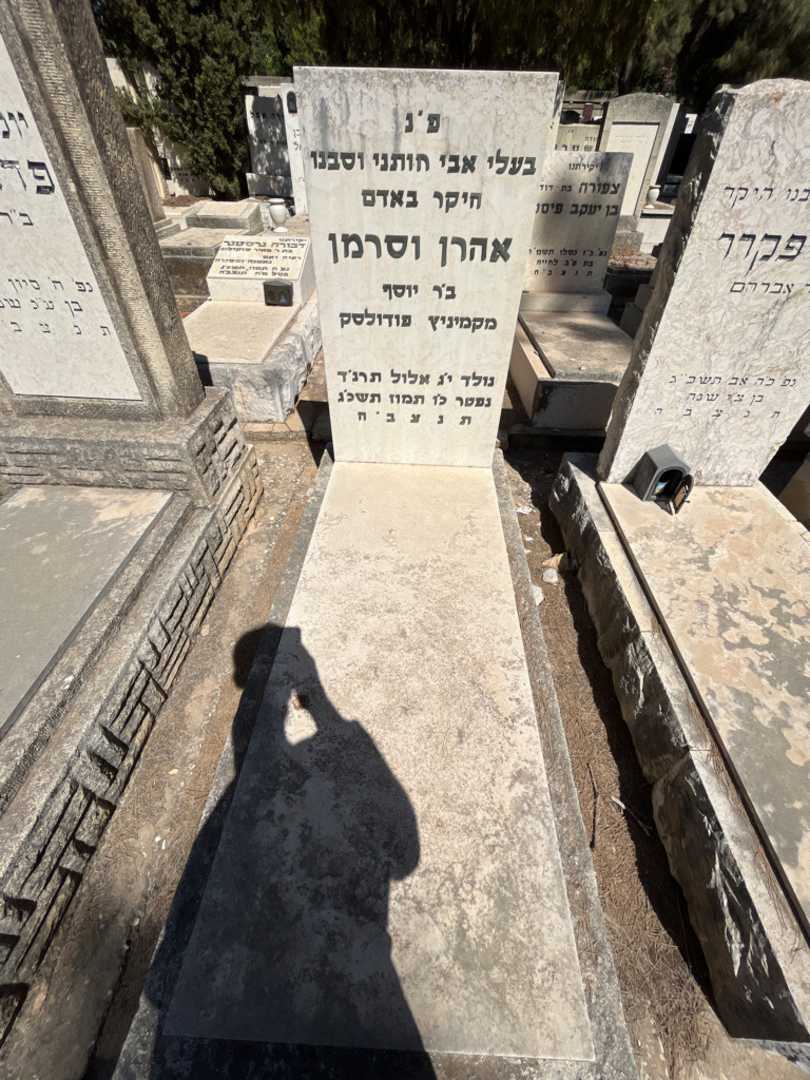קברו של אהרן וסרמן
