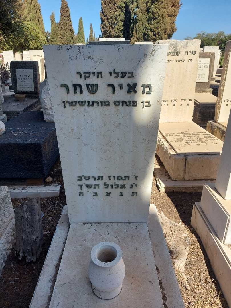 קברו של מאיר שחר