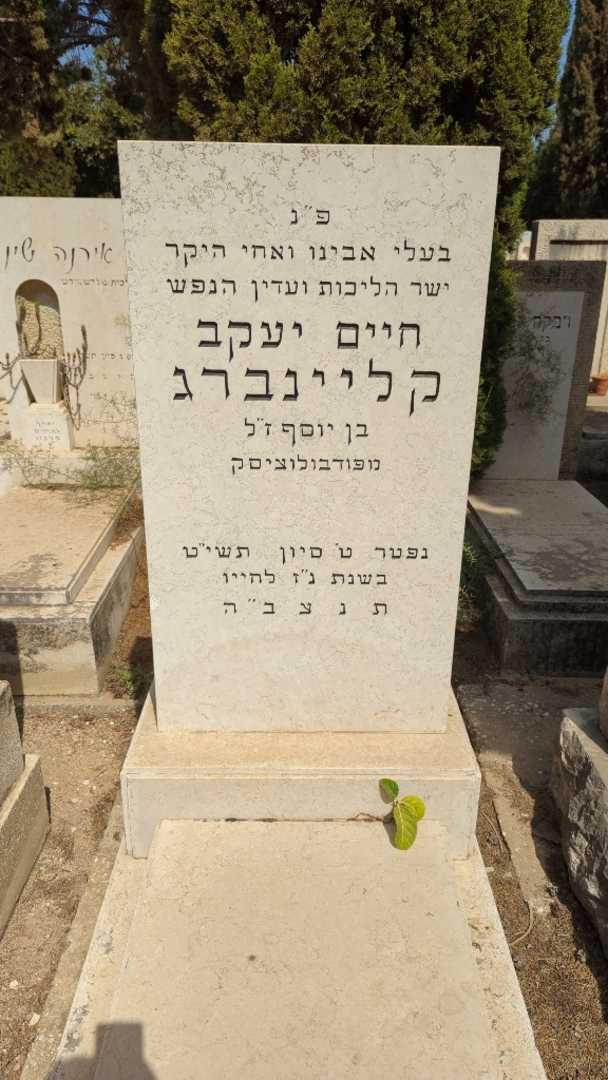 קברו של חיים יעקב קליינברג