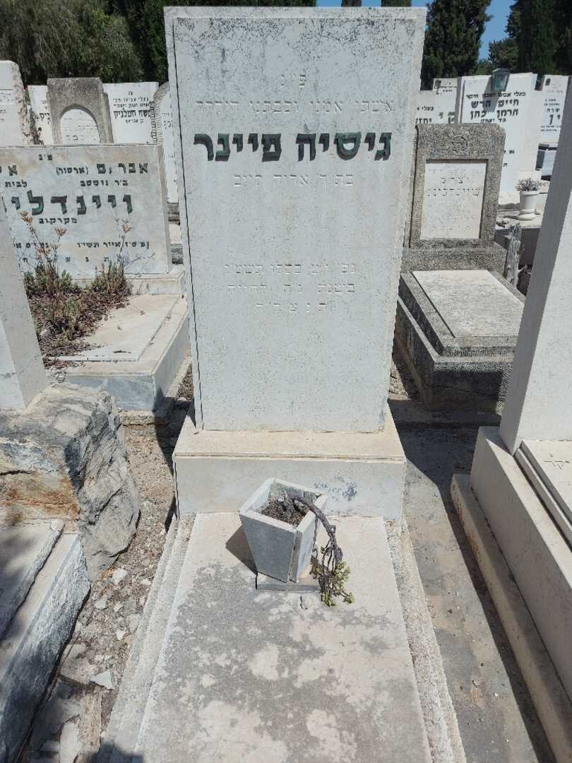 קברו של גיסיה פיינר
