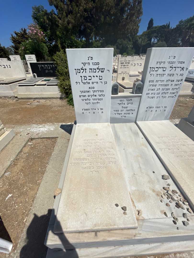 קברו של שלמה זלמן טייכמן. תמונה 2