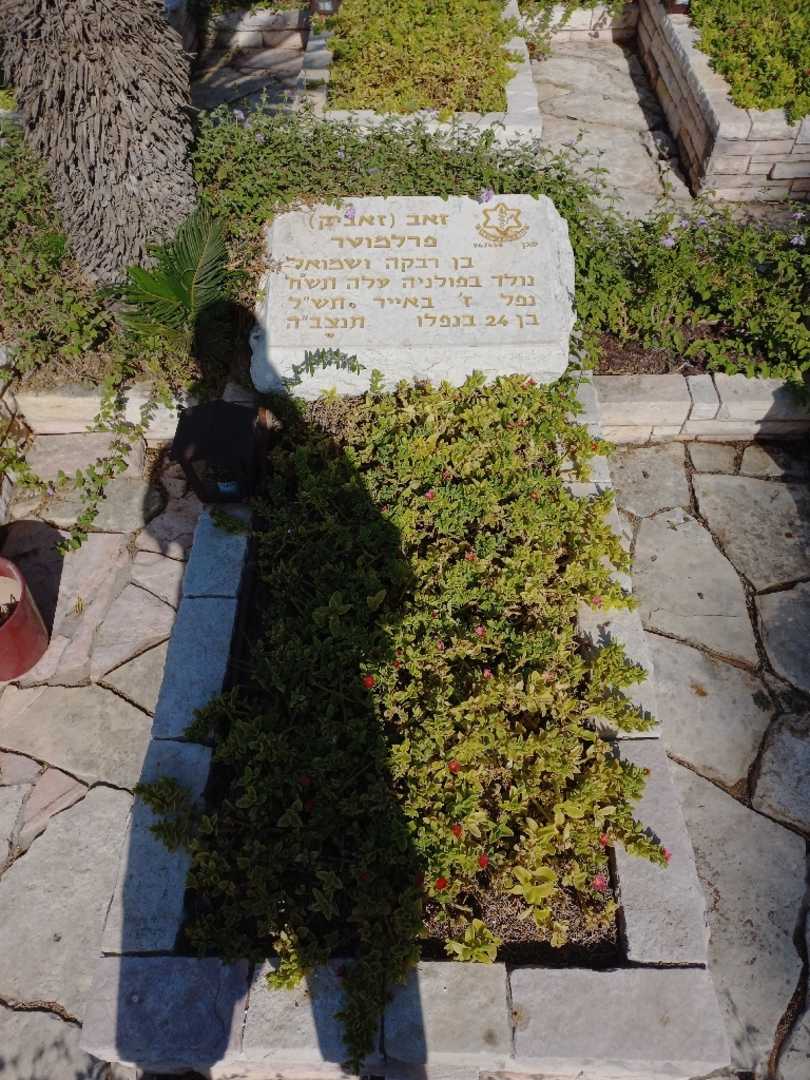 קברו של זאב "זאביק" פרלמוטר