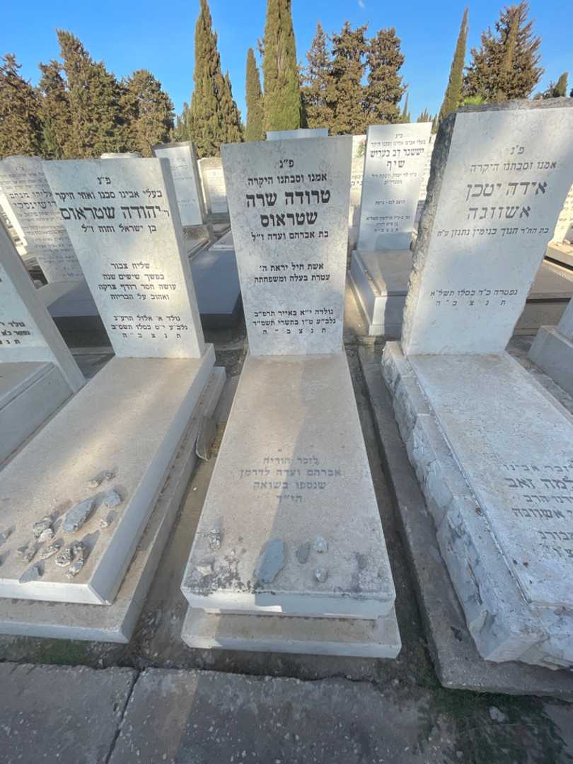 קברו של אברהם לדרמן. תמונה 1