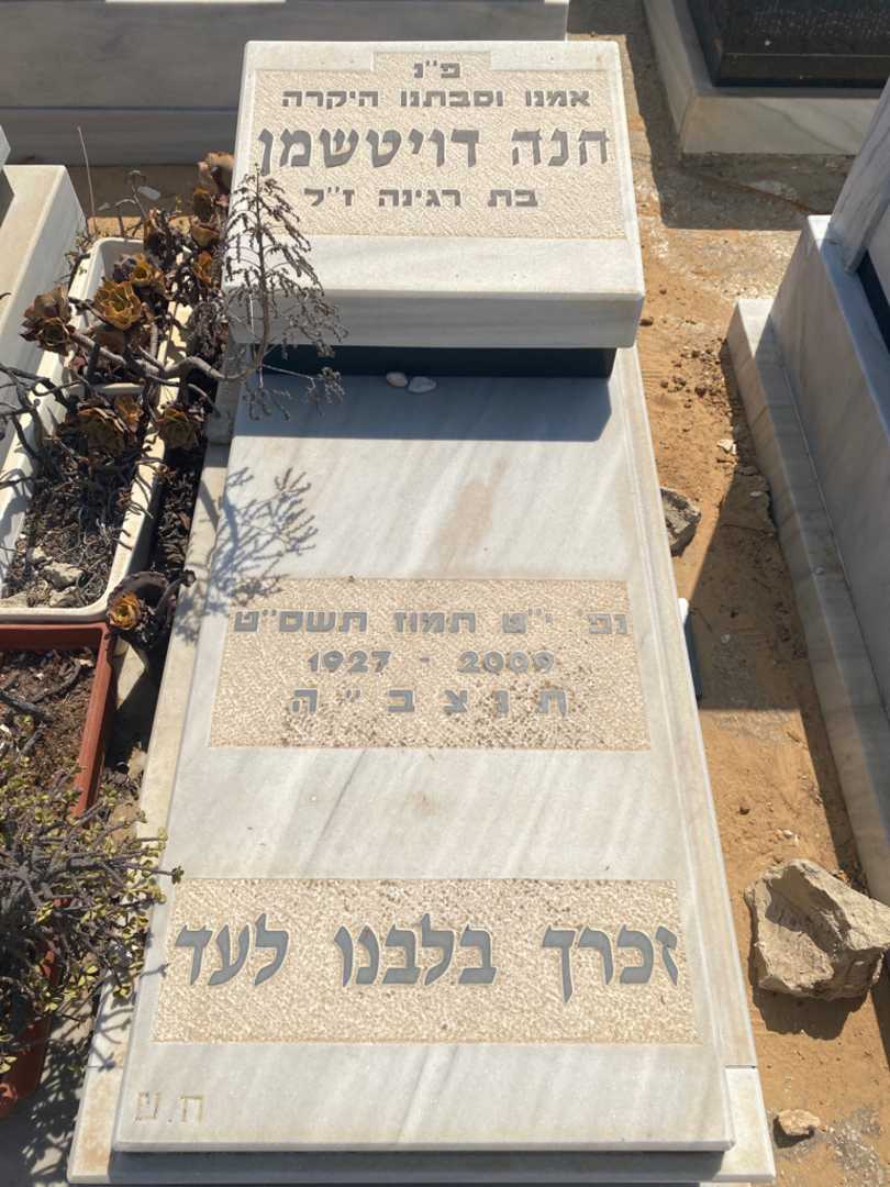 קברו של חנה דויטשמן. תמונה 2