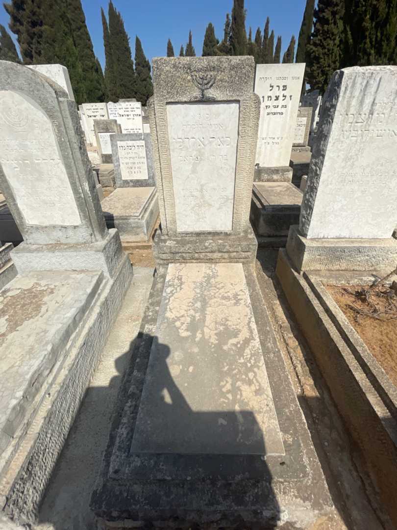 קברו של לאה ארדלי