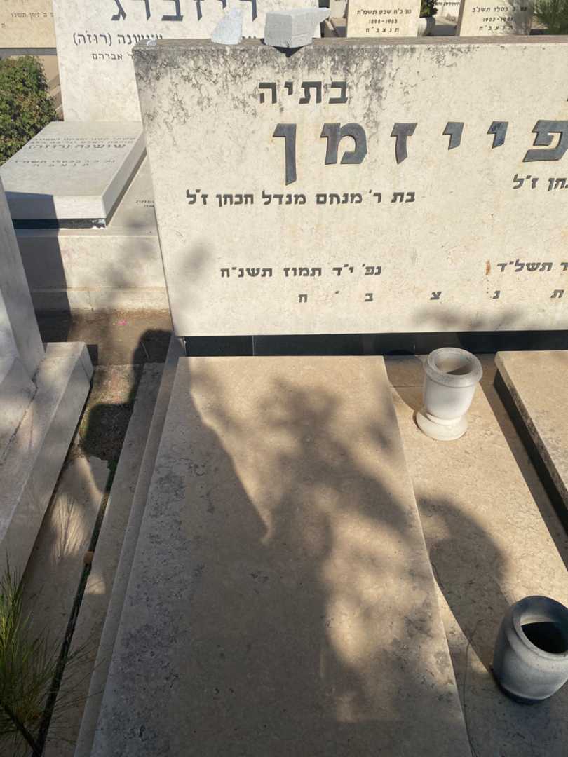 קברו של בתיה שפייזמן. תמונה 1