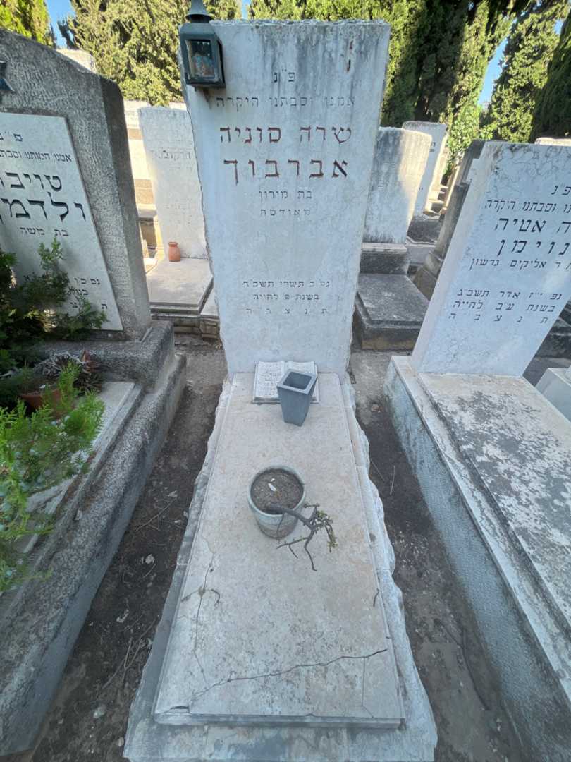 קברו של שרה סוניה אברבוך