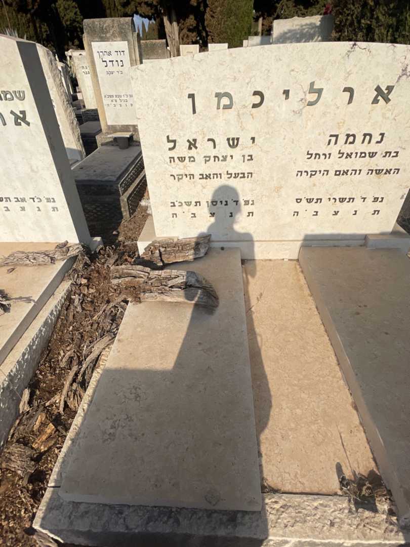 קברו של ישראל ארליכמן. תמונה 2