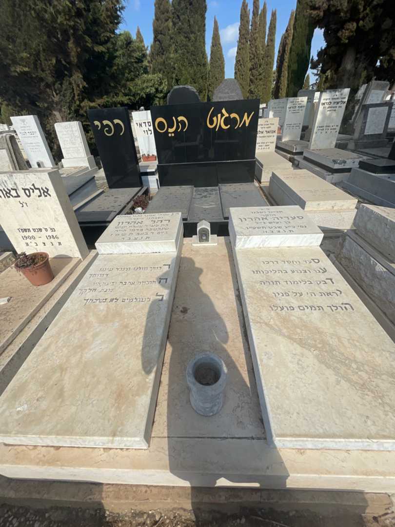 קברו של סעדיה אהרון. תמונה 1