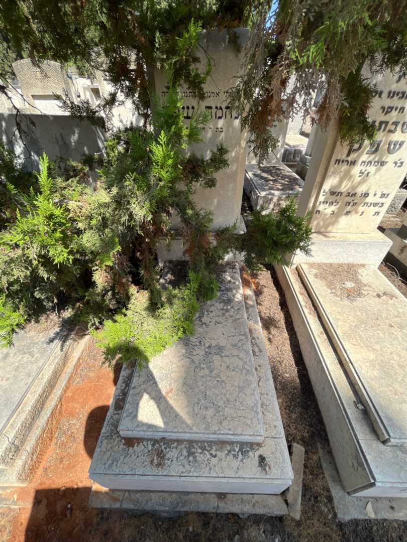 קברו של נחמה שפק. תמונה 1